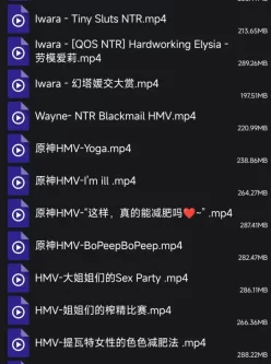 [自行打包] 自己收藏的mmd(三十六)--绝大多数是ntr [38V+10.29G][百度盘]